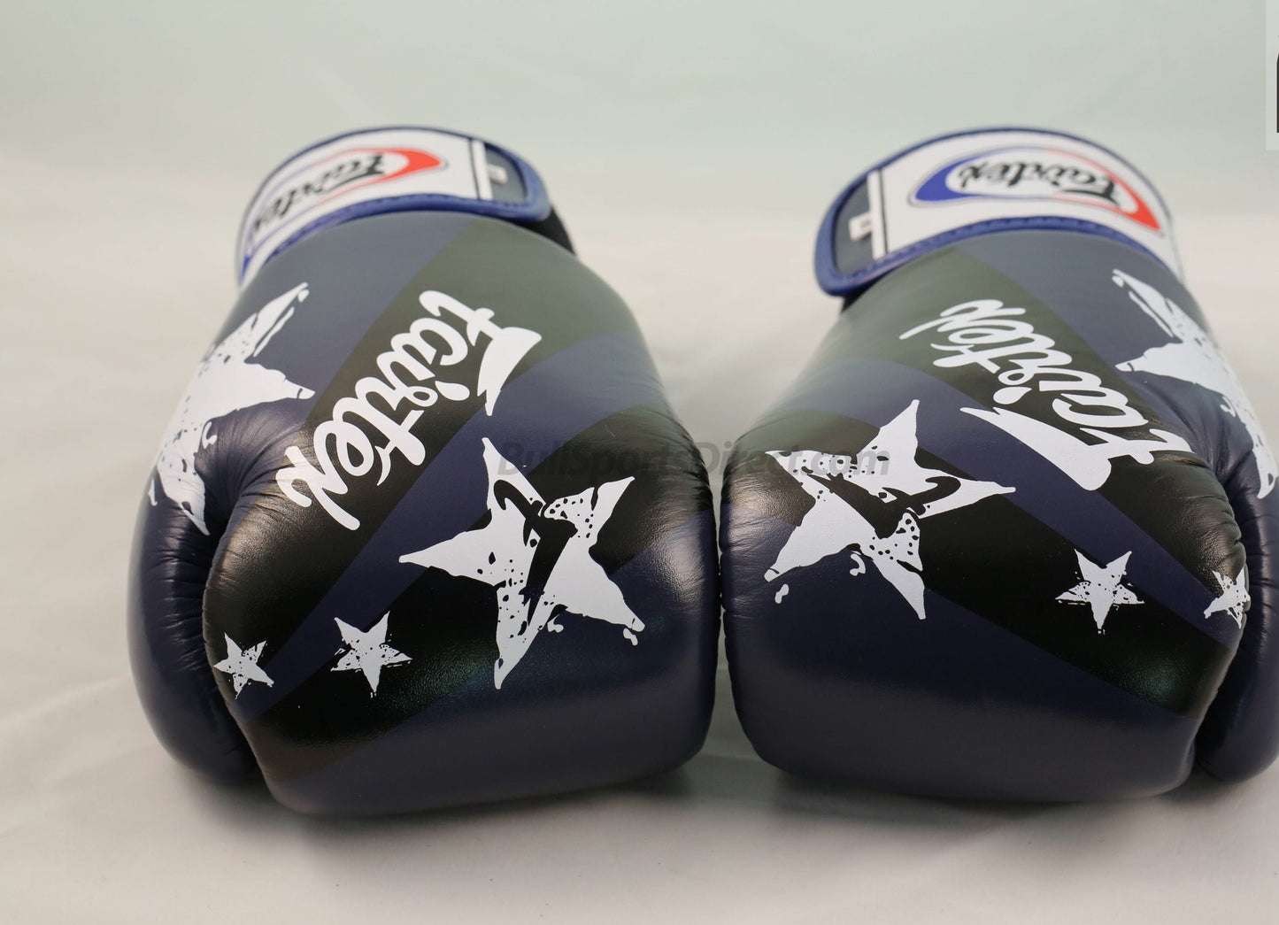 Guantes Fairtex BGV1 Nacion