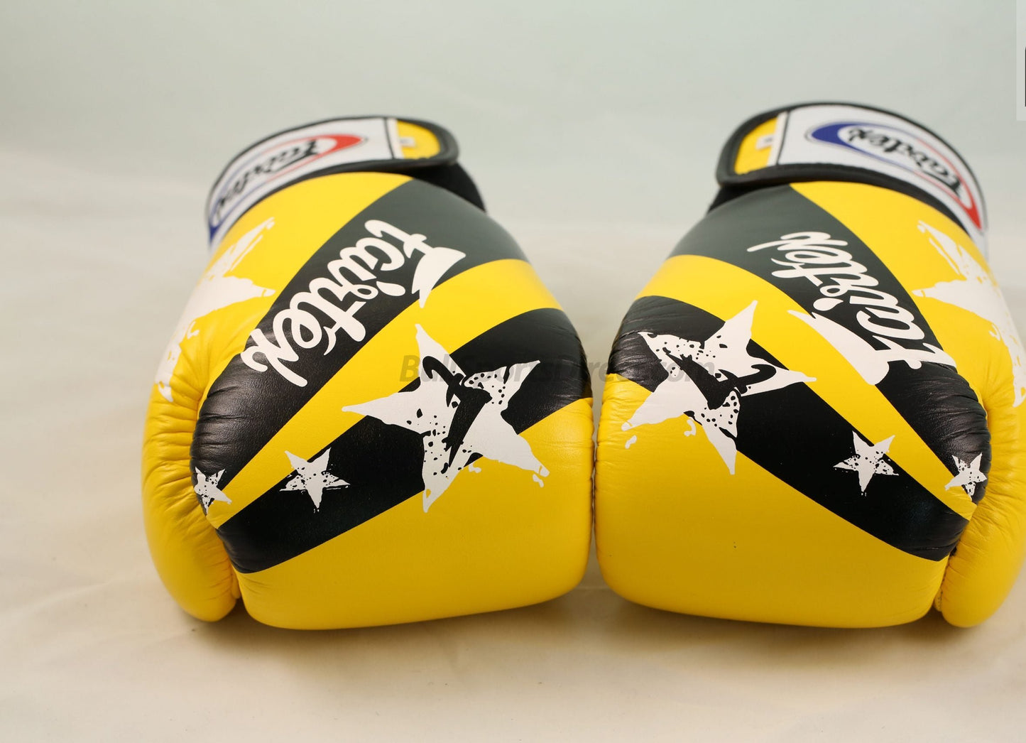 Guantes Fairtex BGV1 Nacion